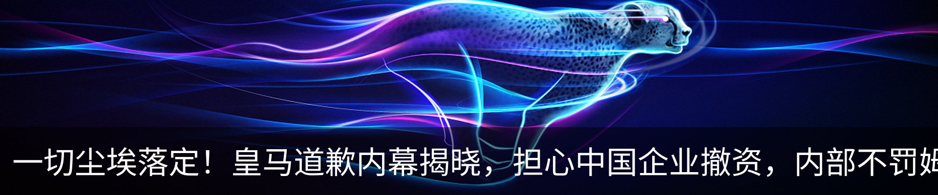 资讯动态