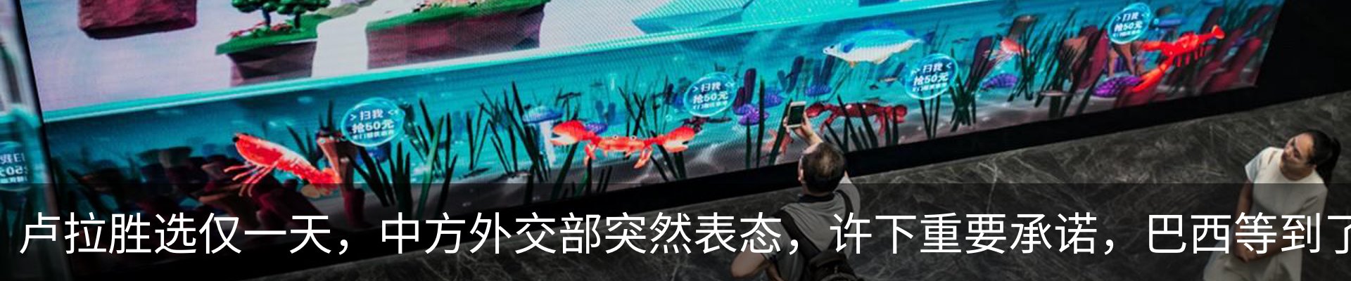 资讯动态
