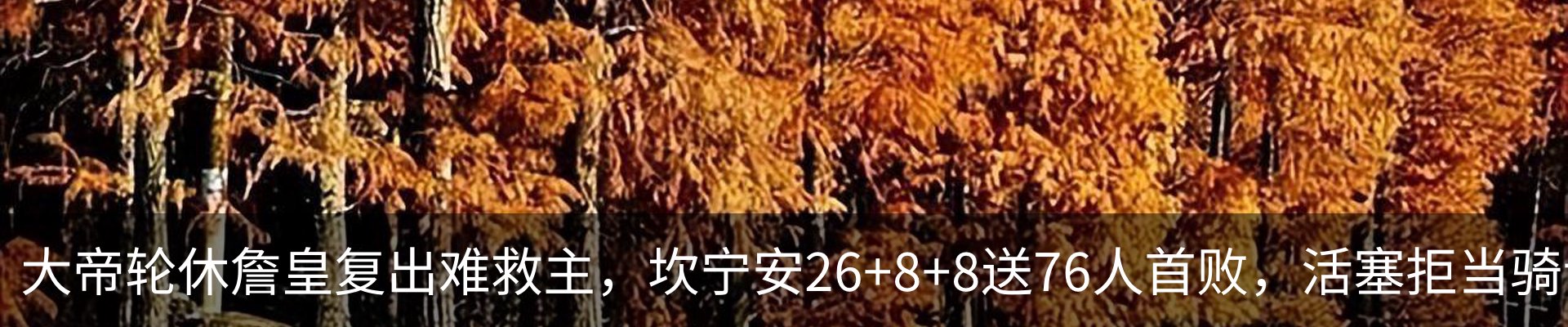 资讯动态