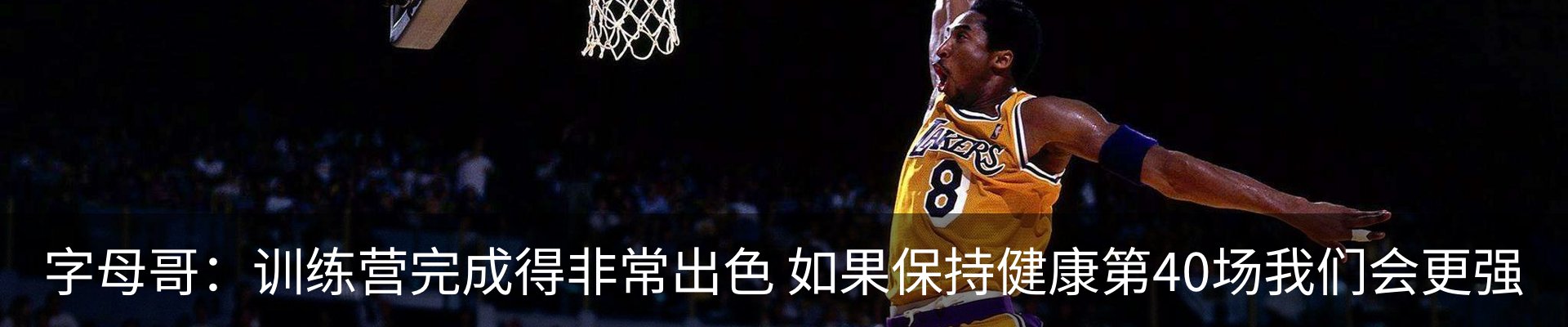 资讯动态