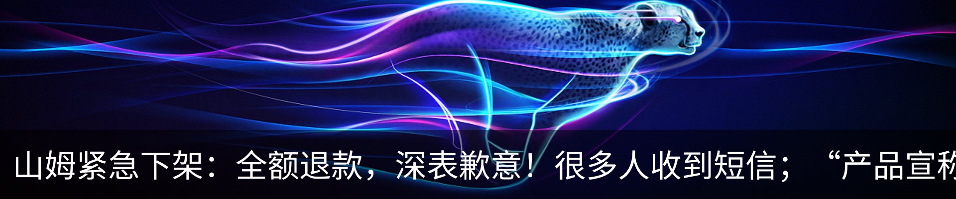 资讯动态