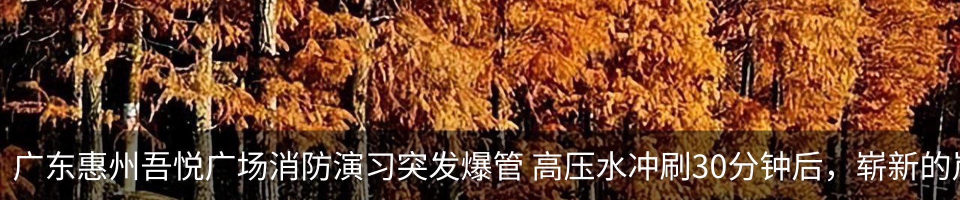 资讯动态