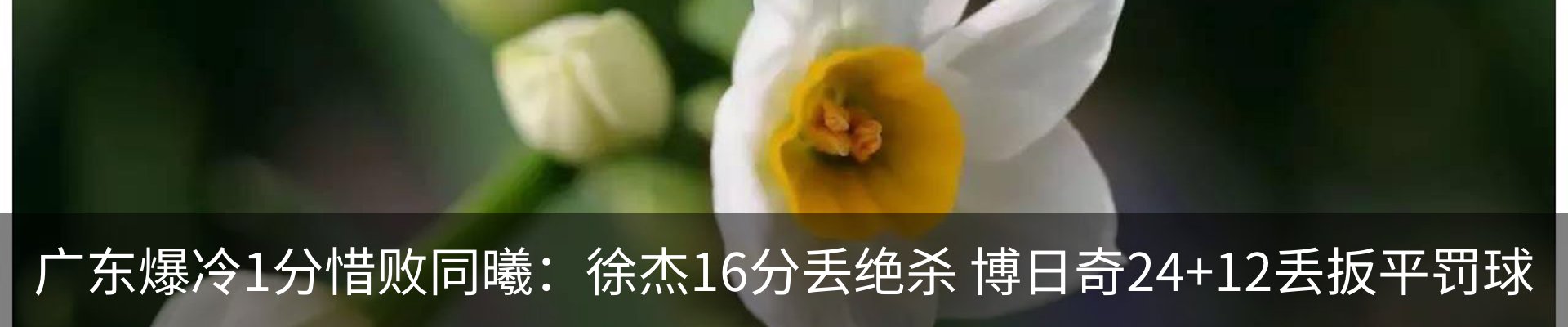 资讯动态