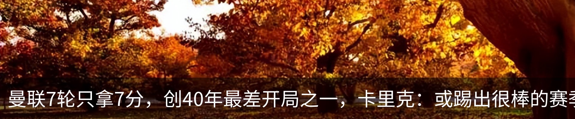 资讯动态