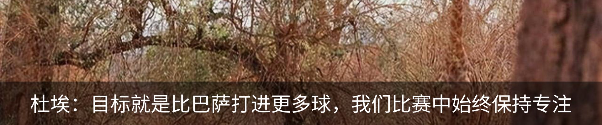 资讯动态