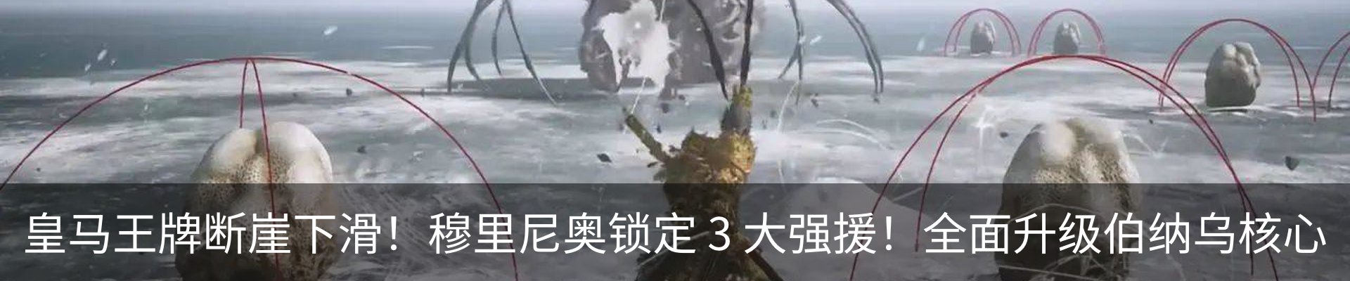 资讯动态