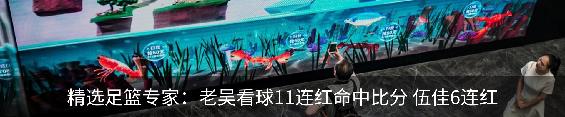 资讯动态